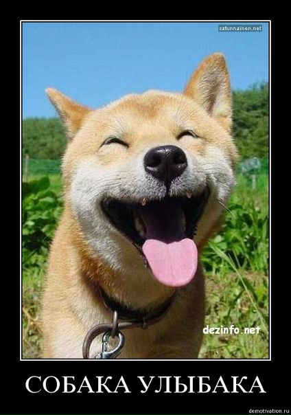 №47, Вадим Sidorov, Донецк №47, Вадим Sidorov, Донецк