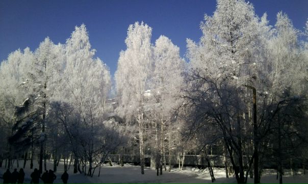 №40, Жанна Замаева, 32 года, Иркутск №40, Жанна Замаева, 32 года, Иркутск