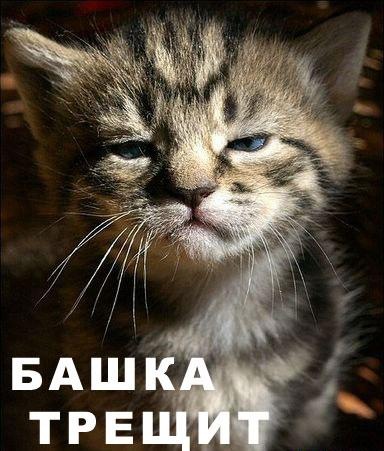 №7, Олег Білоус, 35 лет, Подольск / Котовск №7, Олег Білоус, 35 лет, Подольск / Котовск