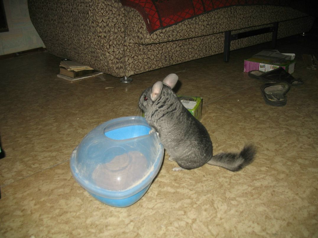 Alexey Bel | Москва