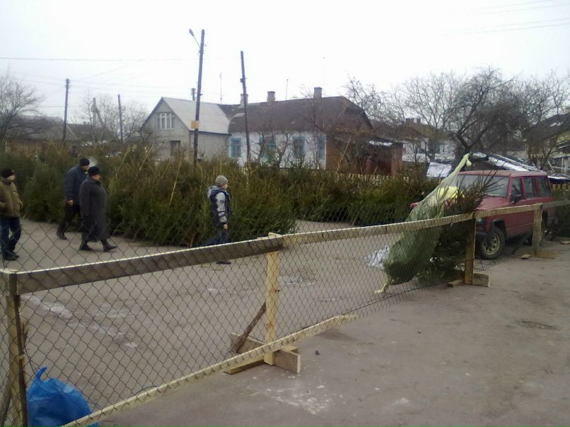 Олег Фірман | Владимир-Волынский