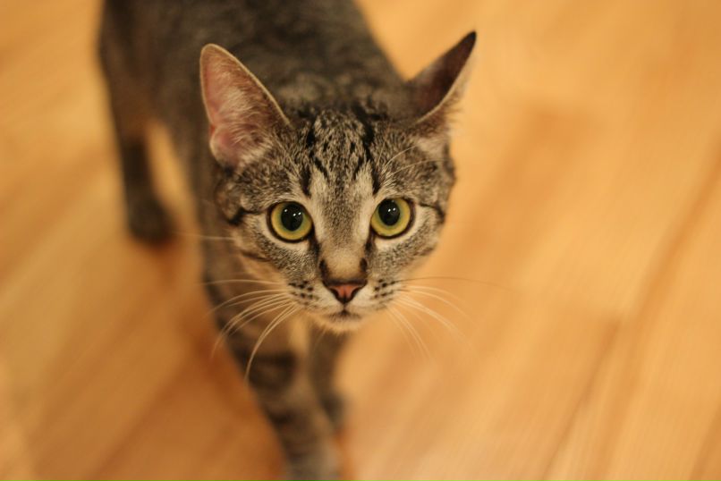 Леша Лапин | Минск