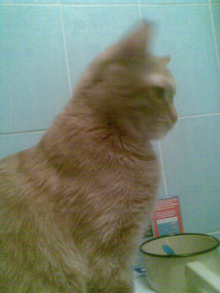 Екатерина Трондина | Самара