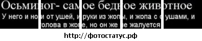 №43, Юлия Бутылина, Солнечногорск №43, Юлия Бутылина, Солнечногорск