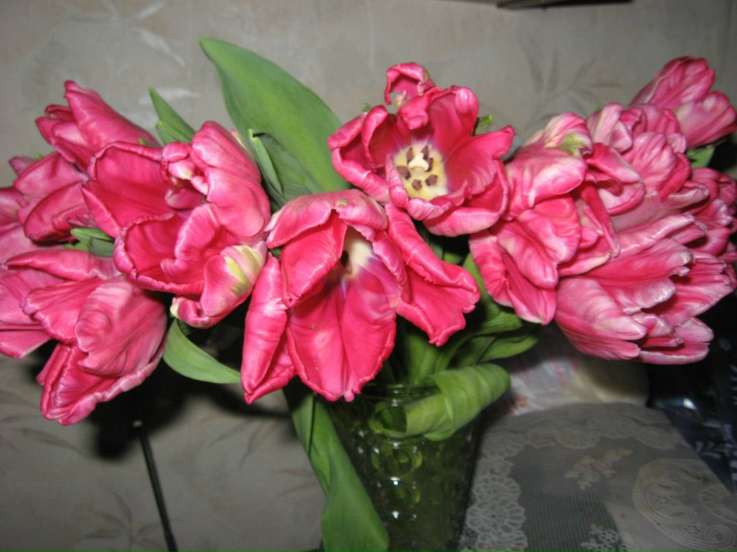 Светлана Суркина <Бугаева> | Санкт-Петербург