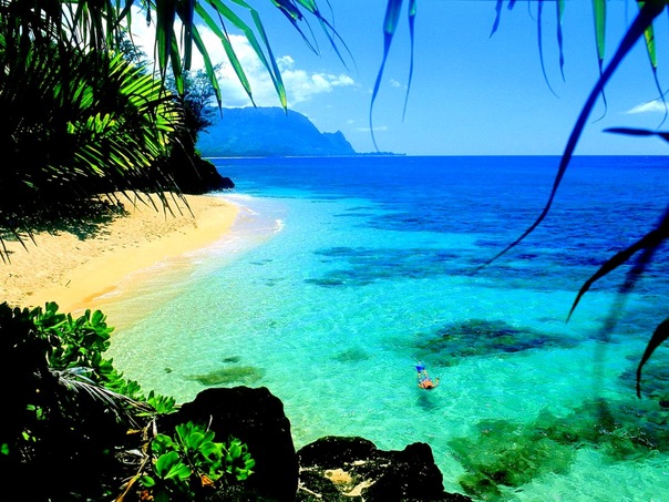 №2, Павел Аббазов №2, Павел Аббазов