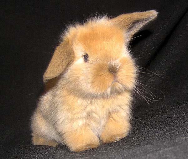 Даша Дмитриева | Химки