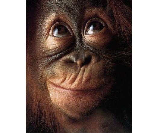 Анна Онищенко | Шахты