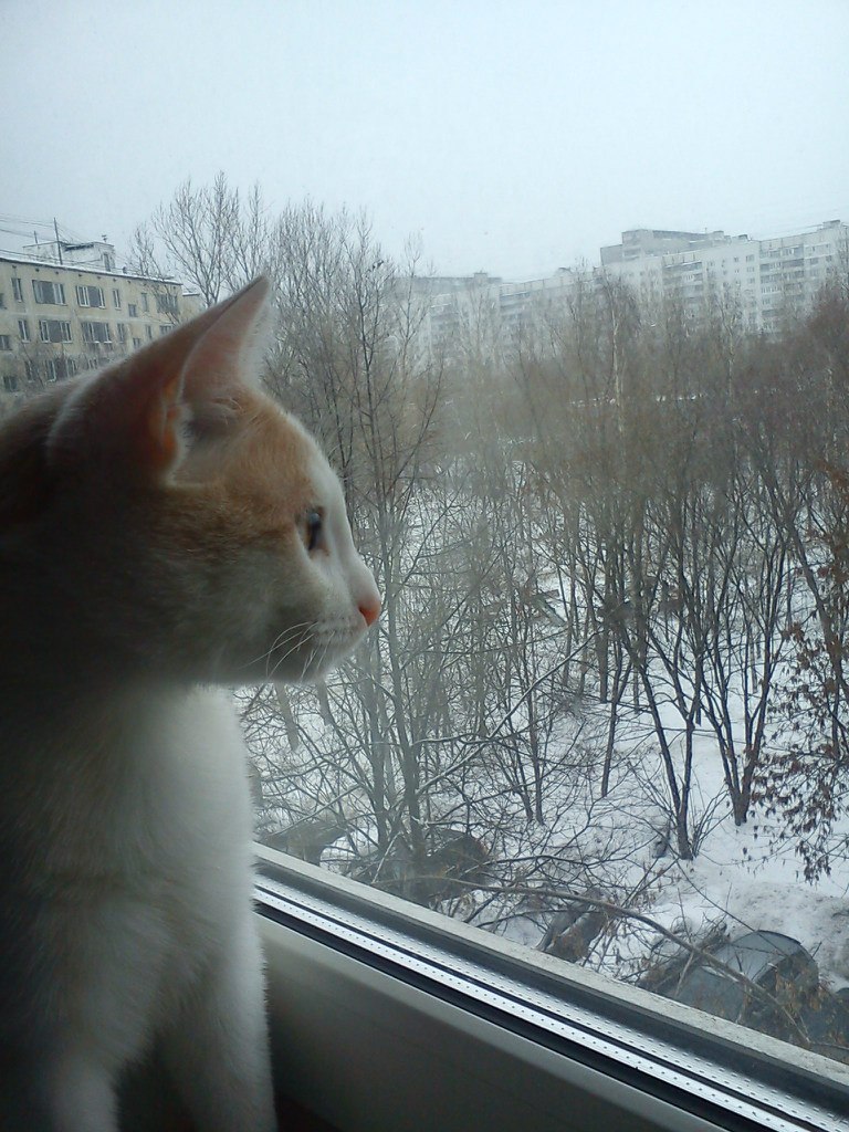 Игорь Измайлов | Москва