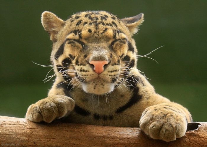 Дмитрий Зайка | Киев