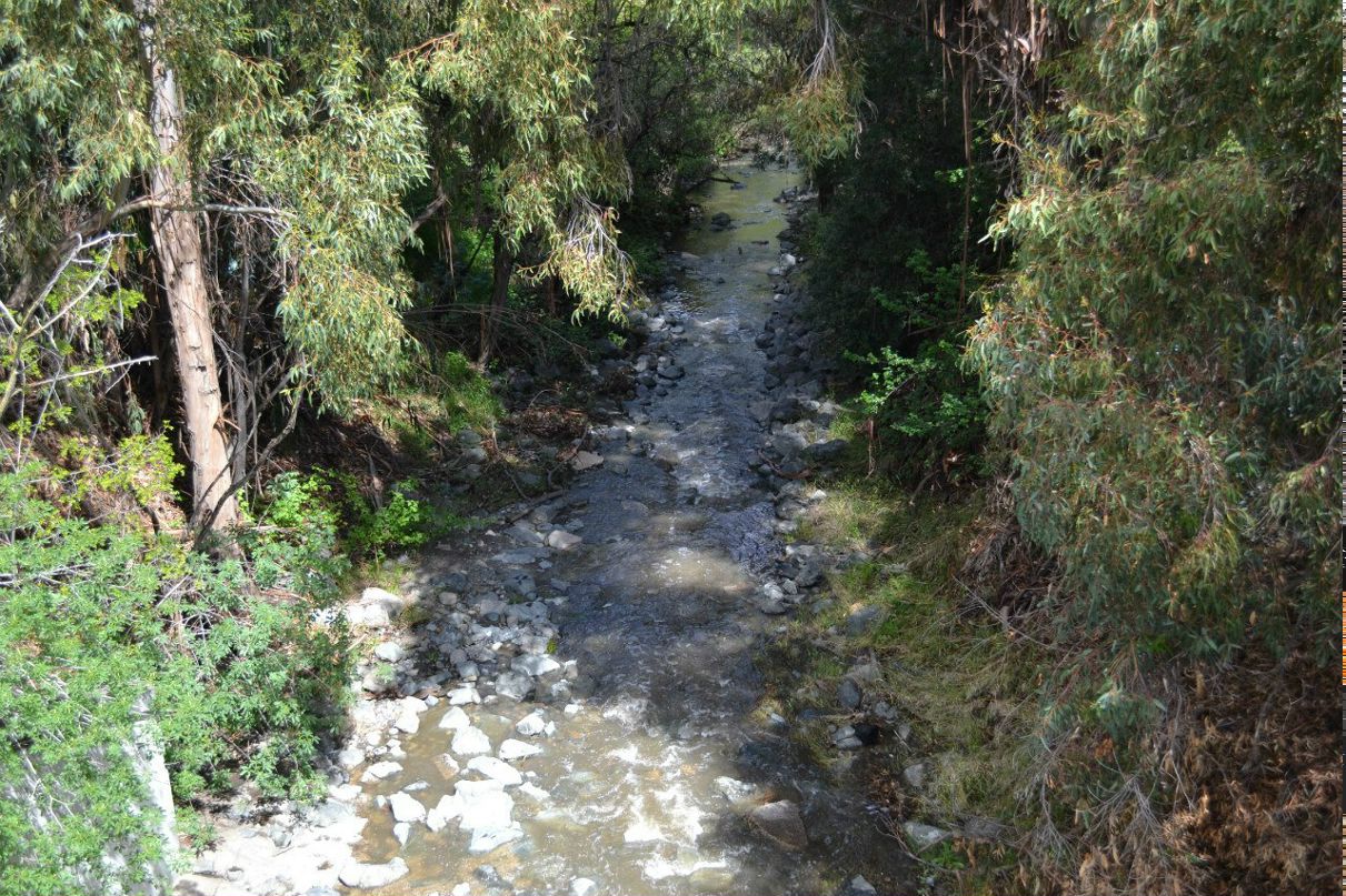 Дарина Рольник | Москва