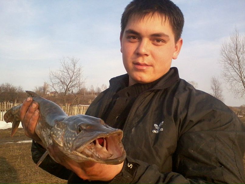 Паша Николаев | Шоршелы