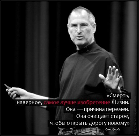 Ольга Николаева | Санкт-Петербург