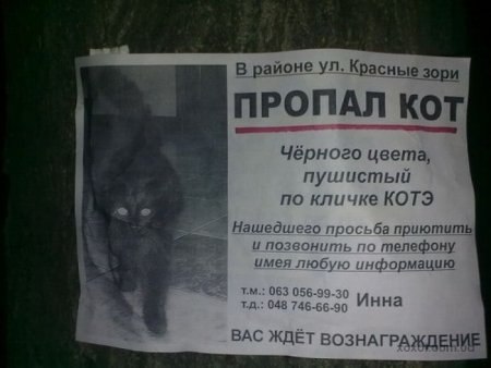 Ольга Николаева | Санкт-Петербург