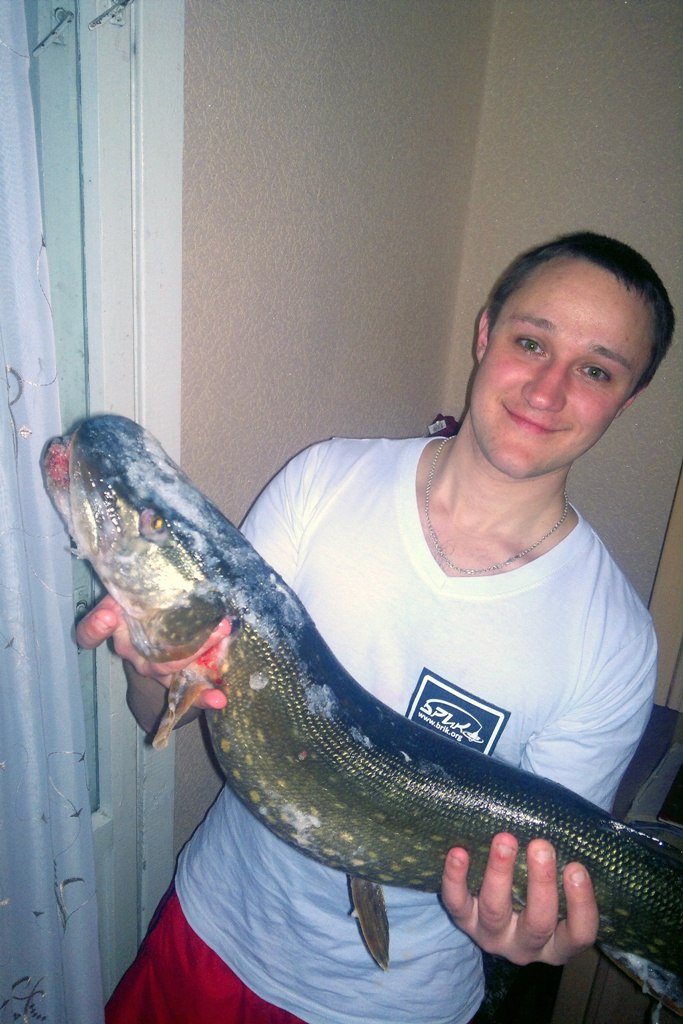 Алексей Мурашко | 