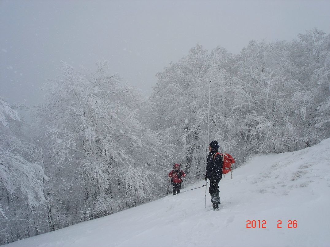 Илья Федотов | Бахчисарай