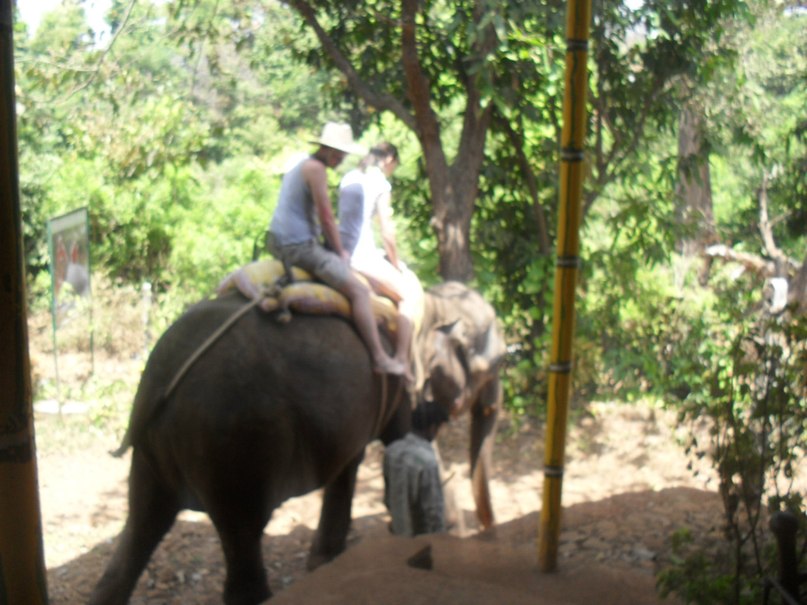 Алла Корнева | Нижний Новгород