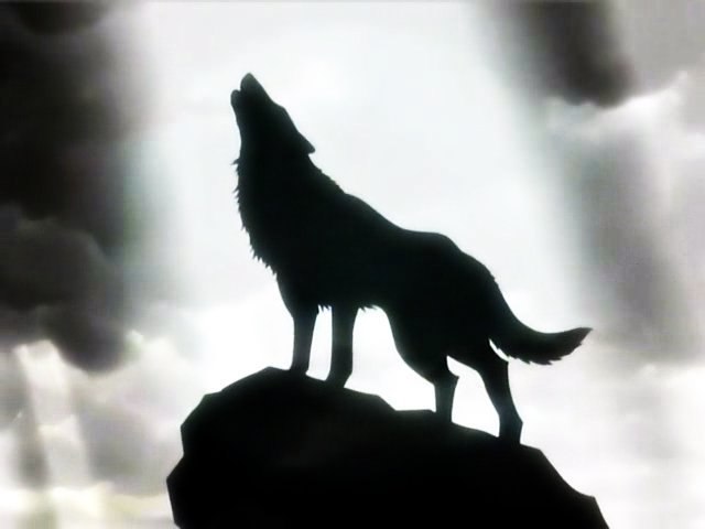 Денис Крафт | Норильск