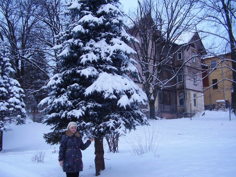 Константин Павловский | 