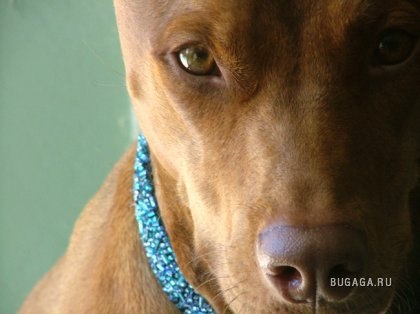 Юля Кальченко | Луцк