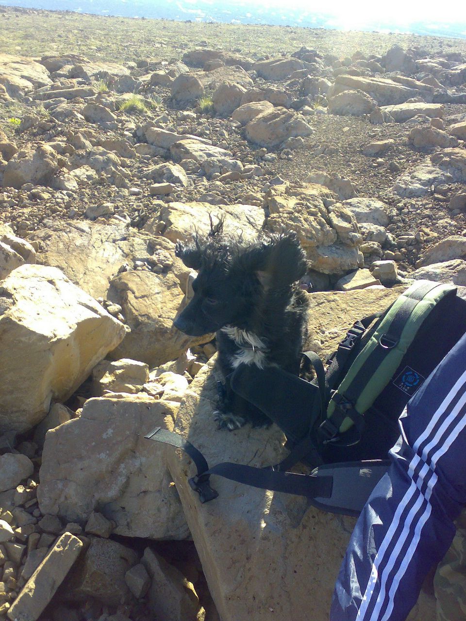 Юлия Тарханова | Норильск