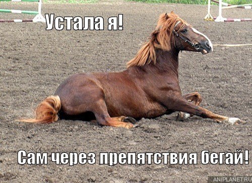 Екатерина Близнюк | Кривой Рог