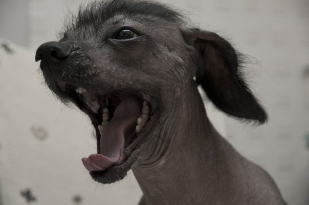 №84, Татьяна Цирульник, Санкт-Петербург №84, Татьяна Цирульник, Санкт-Петербург