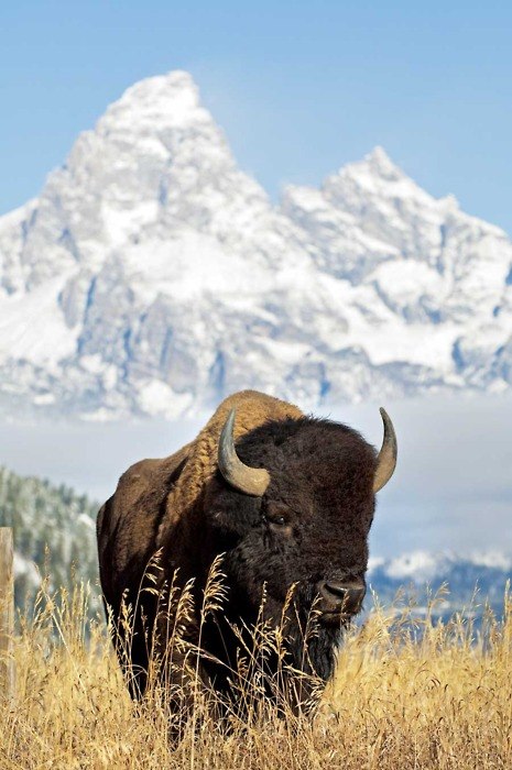 Евгений Бровко | Калининград