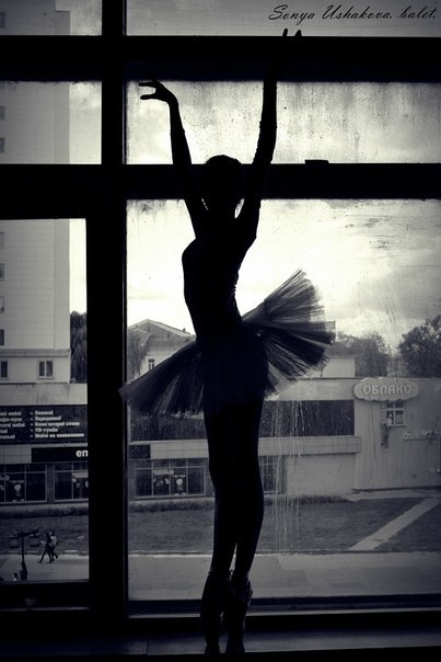 Аксиния Рус-Полтавская | Мелитополь