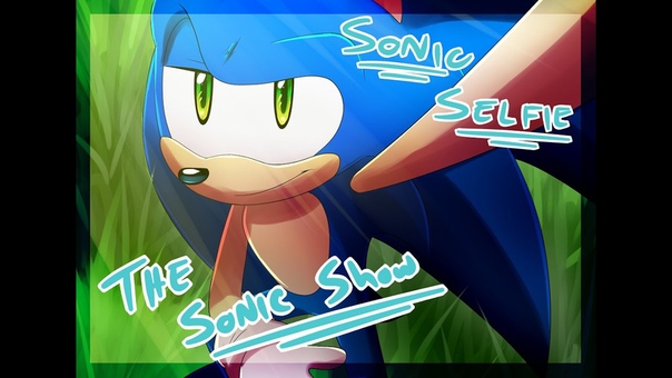 Sonic selfie