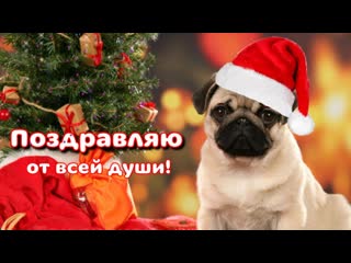 С Новым годом и Рождеством! Так скучаю по тебе...