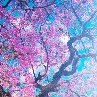 Алина Швецова | Урень