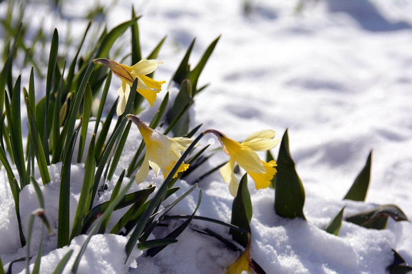 Анна Ковалёва | Петрозаводск