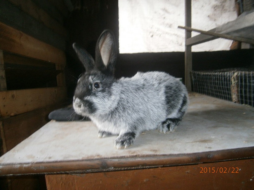 Владимир Бабкин | Киев