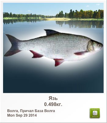 Александр Заикин | Переславль-Залесский