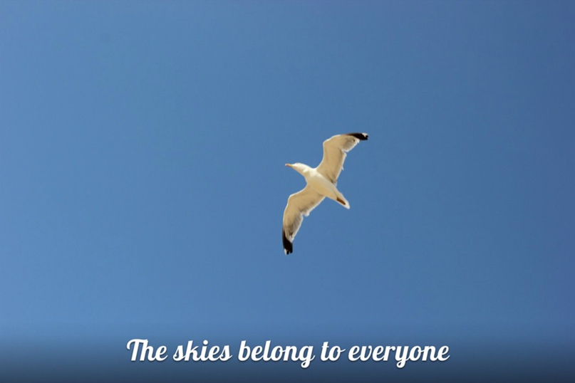 Александр Мостовой | Санкт-Петербург