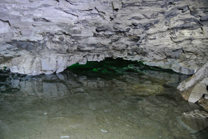 Андрей Пивоваров | Новосибирск