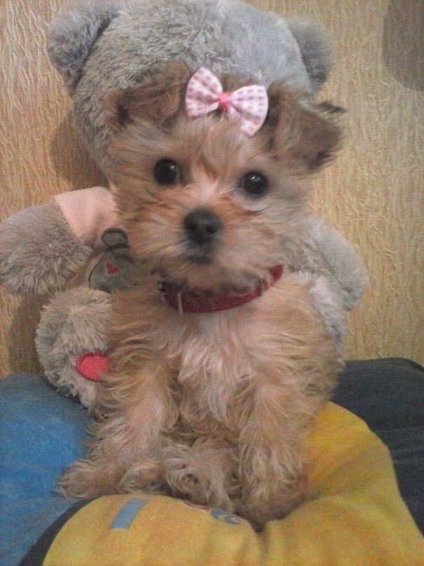 Настя Цветкова | Николаев