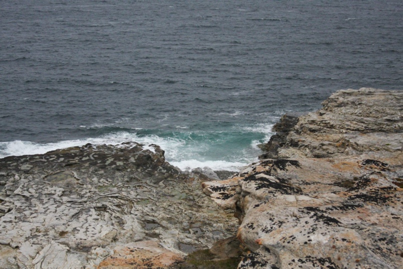 Татьяна Басова | Санкт-Петербург