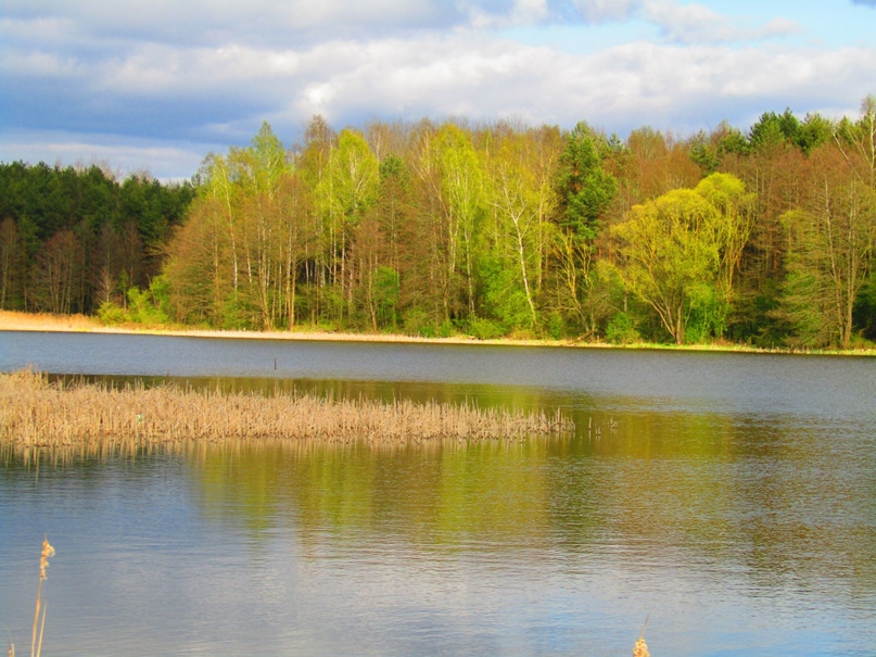 Юлия Полежаева | Волковыск