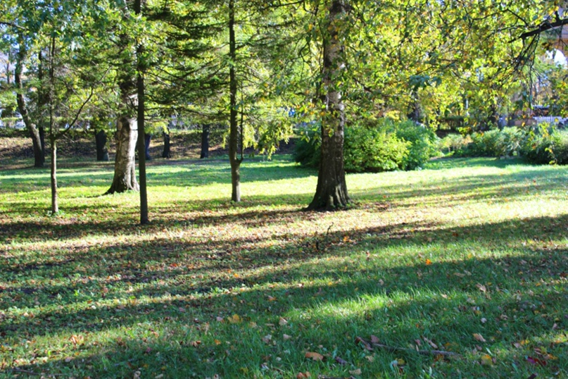 Валерия Тарасова | Санкт-Петербург