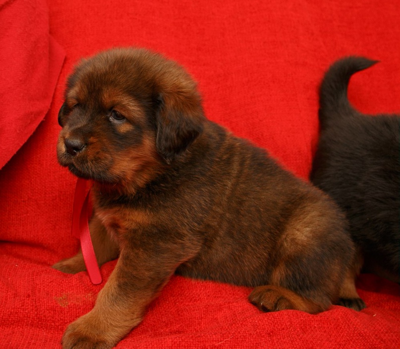 Антон Колядин | Москва