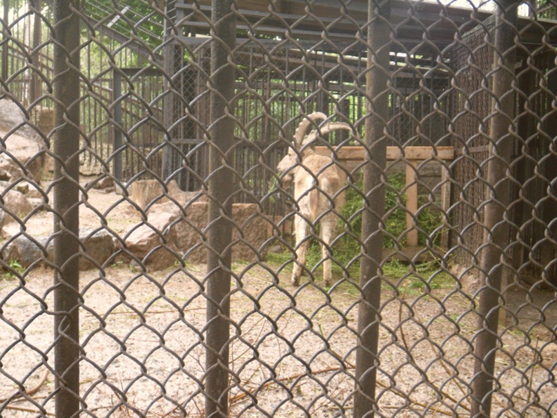 Оксана Ткаченко