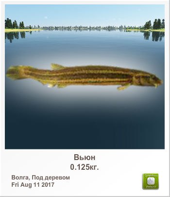 Рома Кузьмин | Саратов