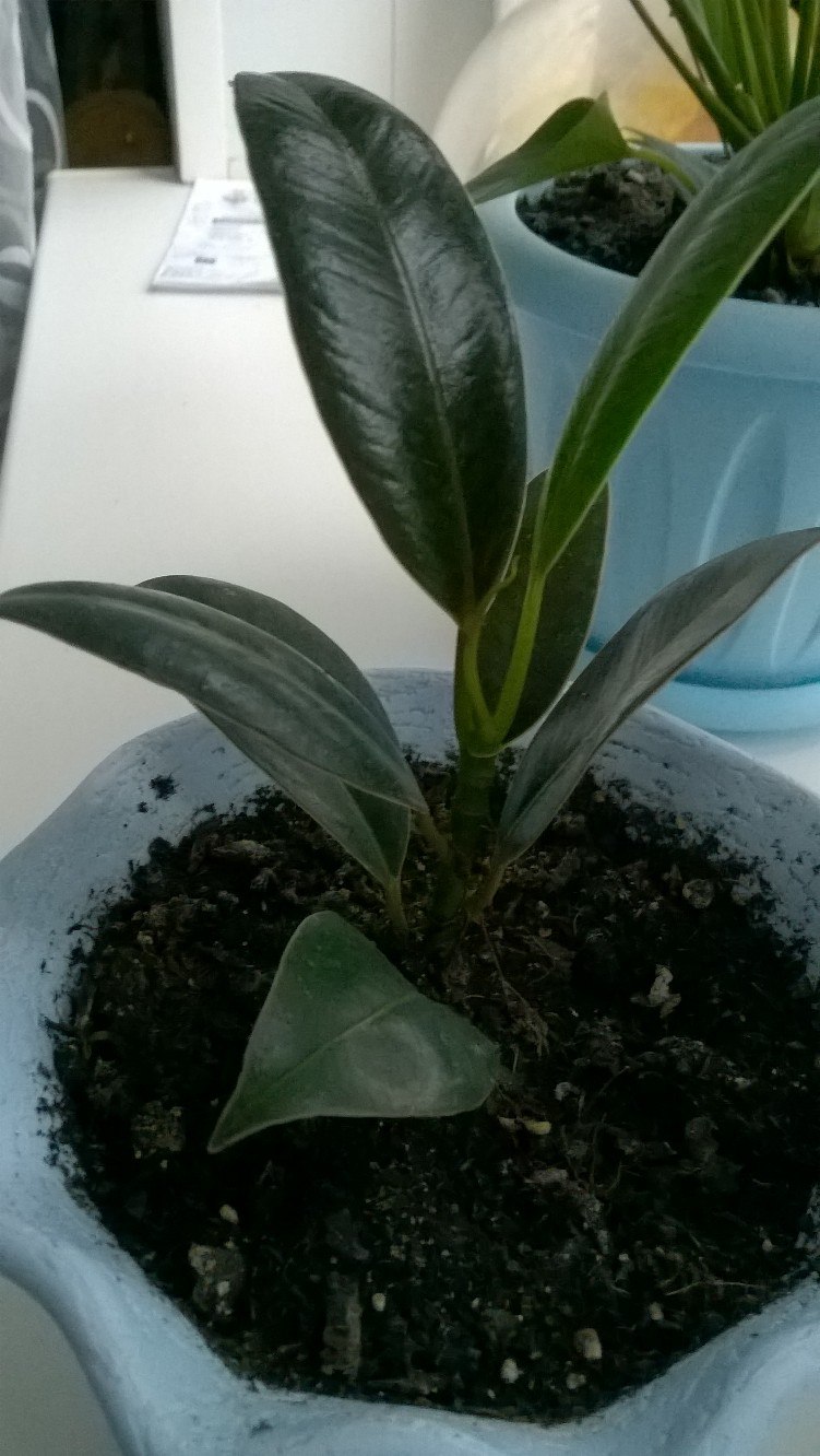 Ольга Журавлева | Верещагино