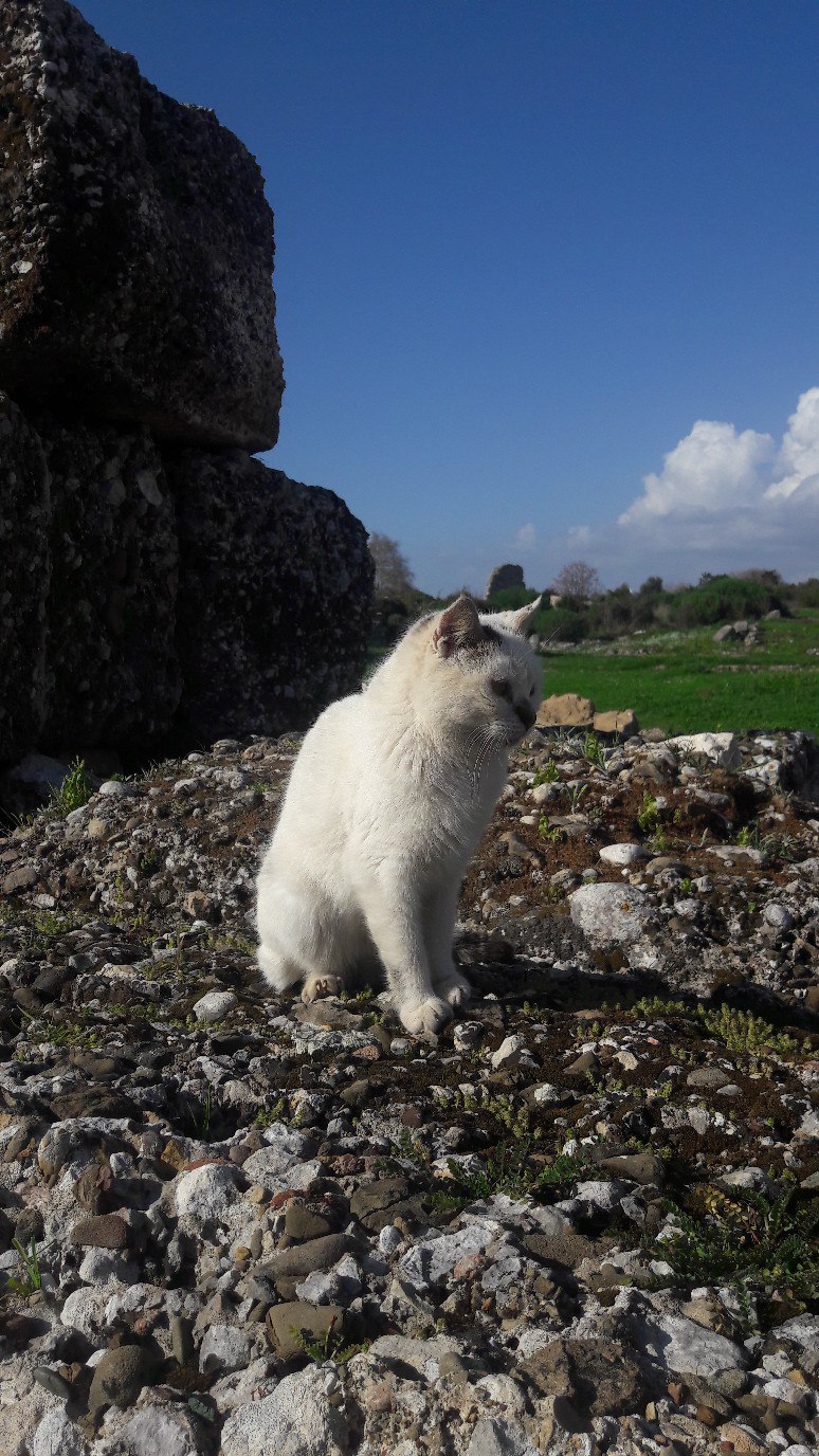 Светочка Светлана | Екатеринбург