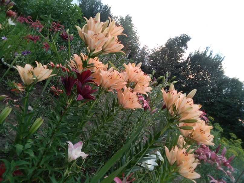 Марина Дроздова | Добрянка