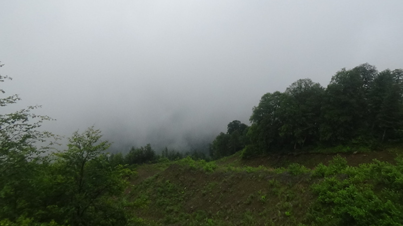 Денис Чистяков den | Челябинск