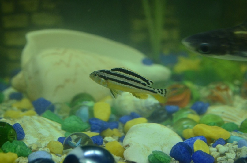 Мария Саламахина | Екатеринбург