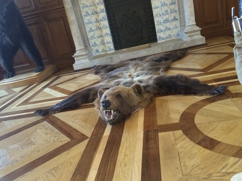 Сергей Илюхин | Москва